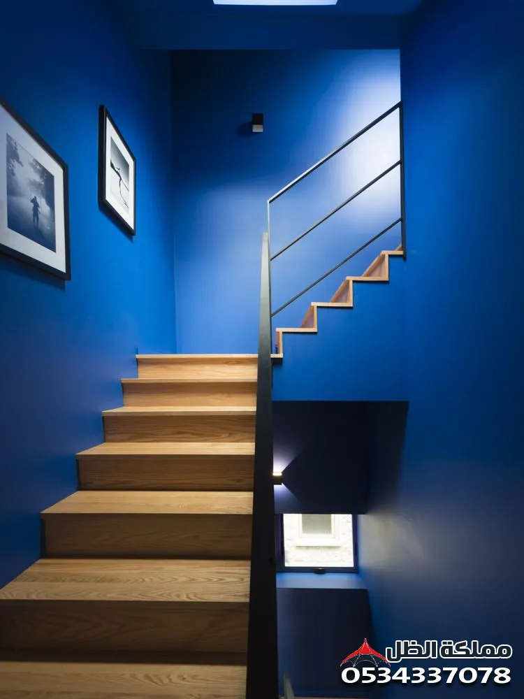 صورة المقال