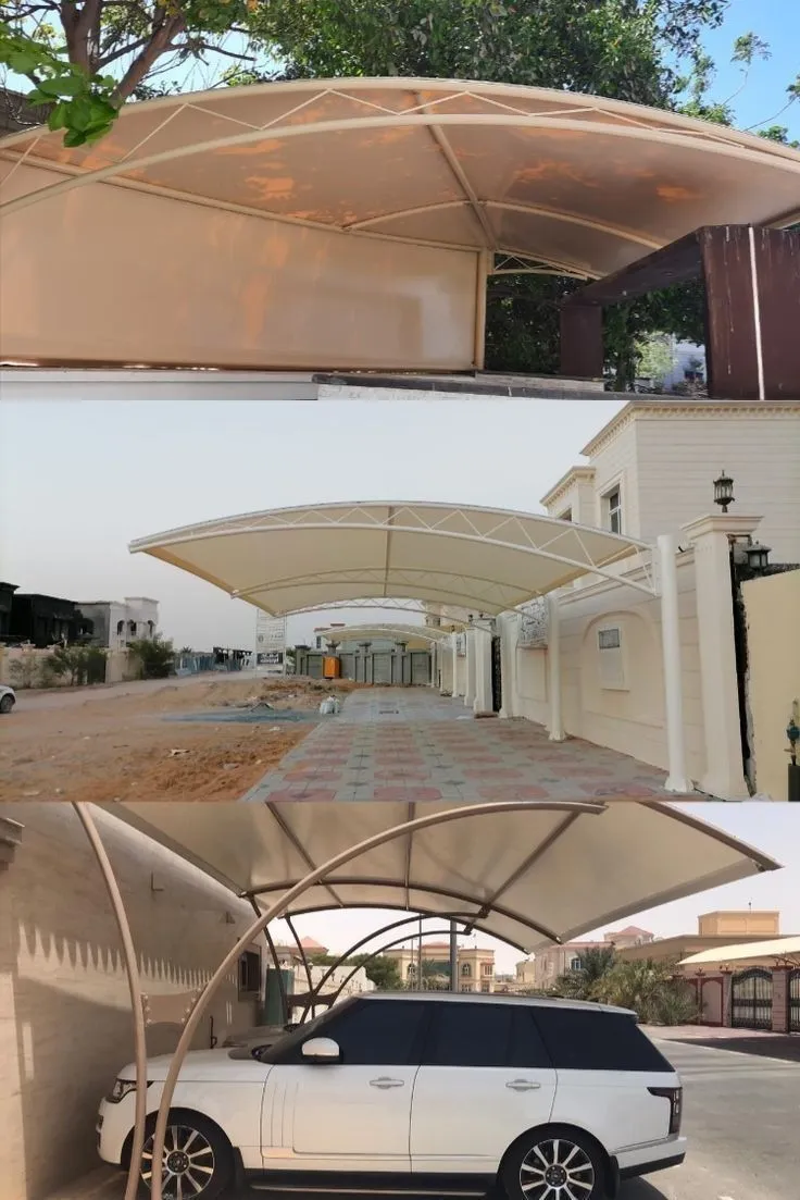 صورة المقال