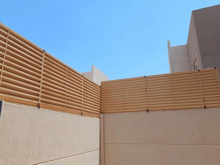 صورة المقال