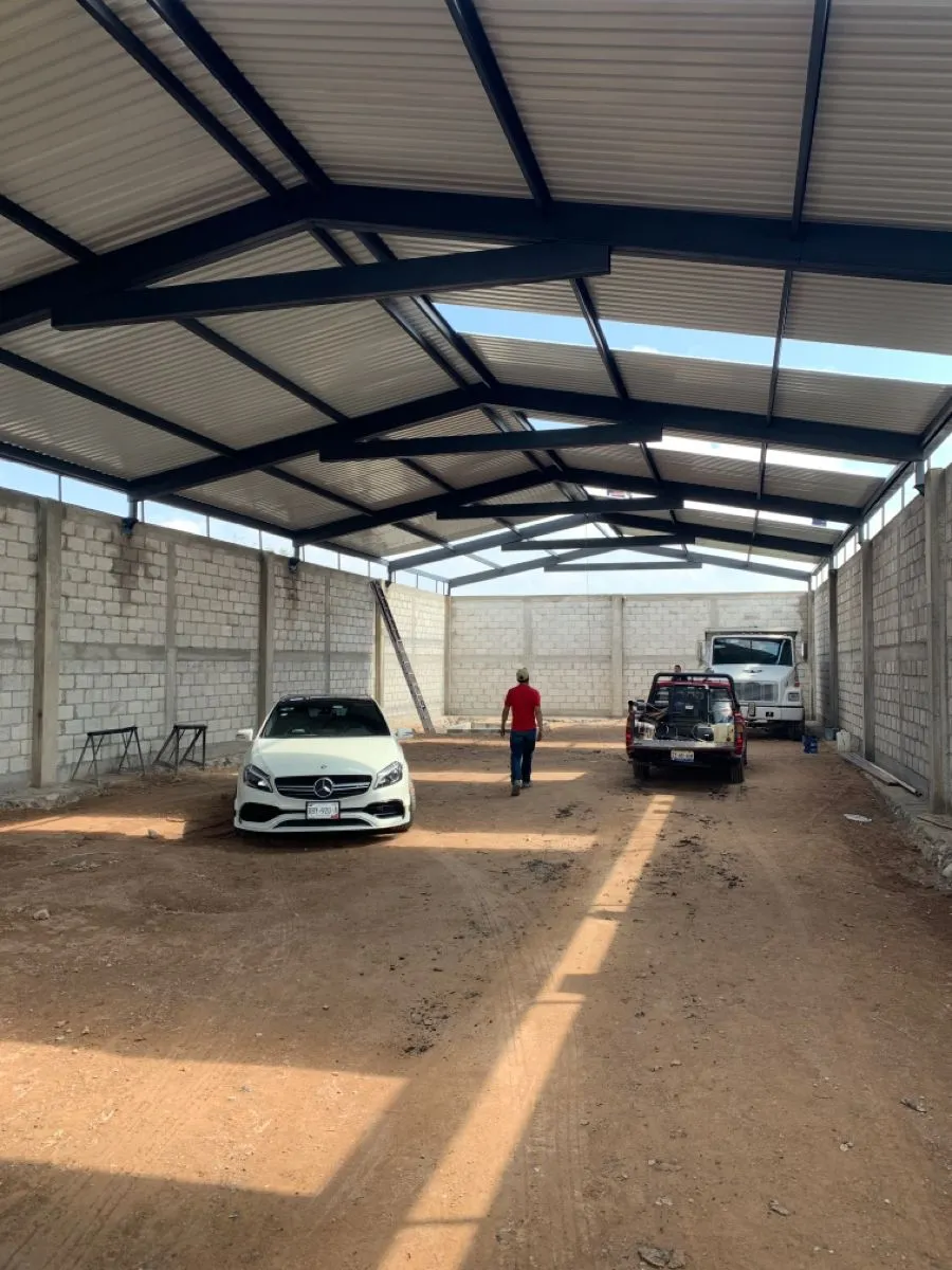 صورة المقال