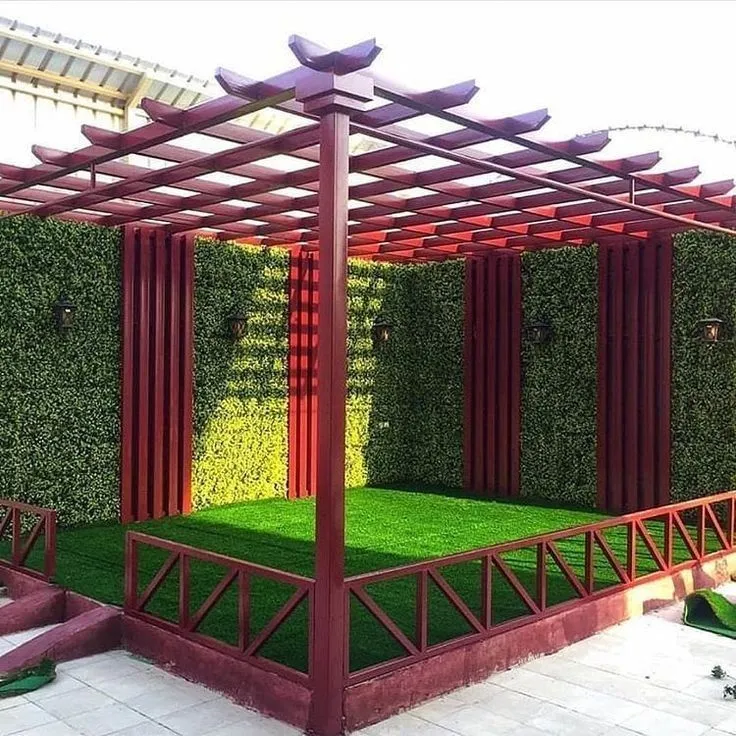 صورة المقال