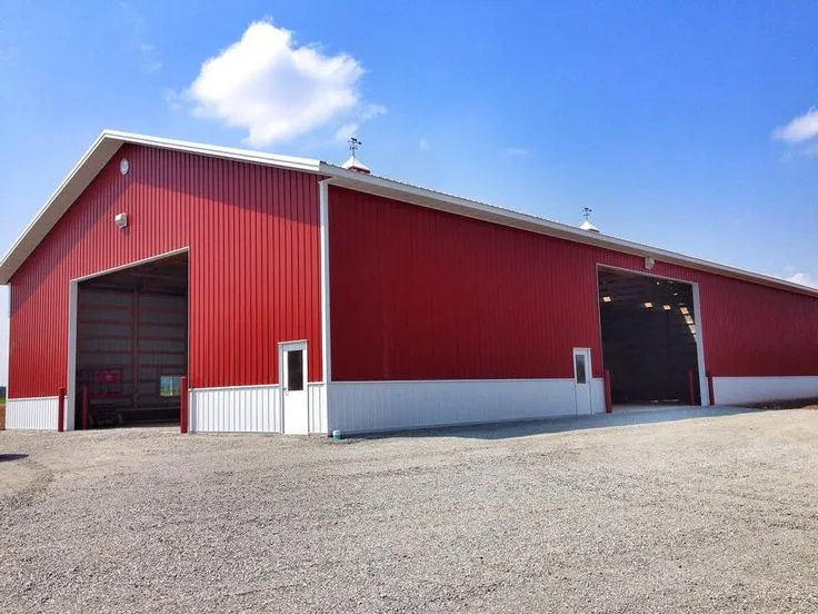 صورة المقال